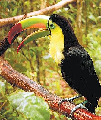 அலகுக்குள் ஆயிரம் அழகுகள்﻿