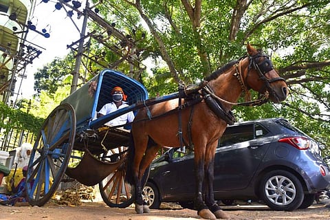 பேசும் படங்கள்... (14.05.2020)