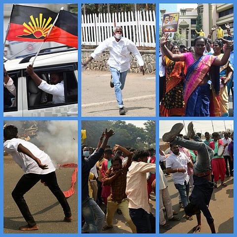 நகர்ப்புற உள்ளாட்சித் தேர்தல் - திமுகவின் வெற்றிக் கொண்டாட்டம் - புகைப்படத் தொகுப்பு