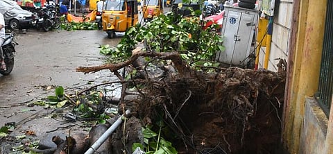 மாண்டஸ் புயலின் தாக்கம் - புகைப்படத் தொகுப்பு