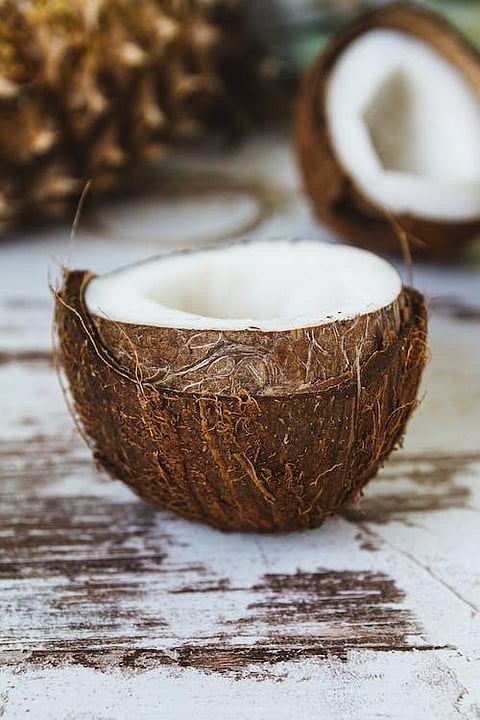 Nutritious food coconut