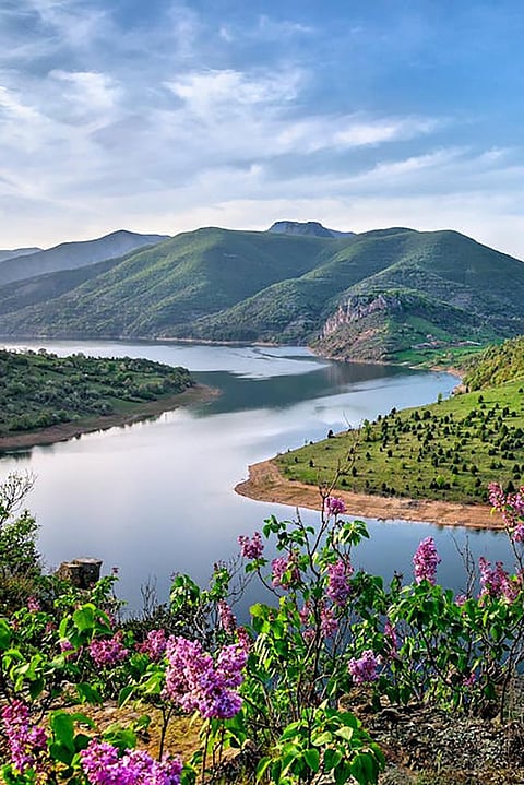 Classification of riparian forests: an overview