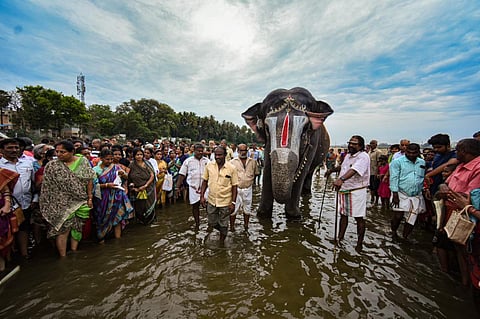 ஸ்ரீரங்கம் காவிரிக் கரையில் கஜேந்திரமோட்சம் நிகழ்வு - புகைப்படத் தொகுப்பு