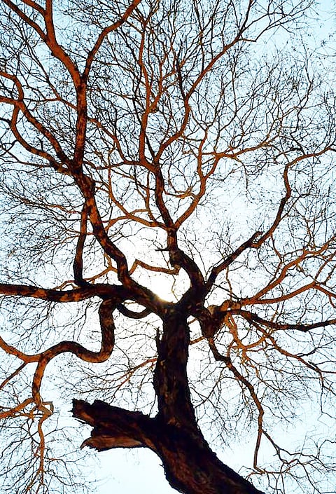 Ways to Avoid Summer Illnesses