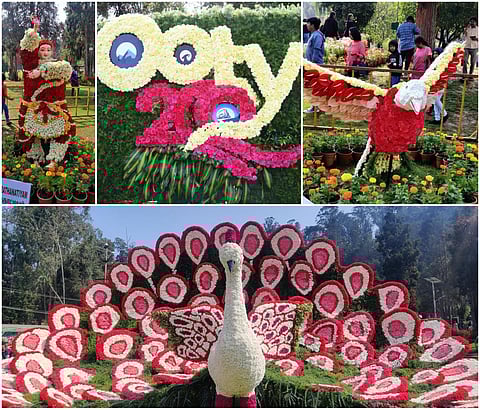 உதகை மலர் கண்காட்சி 2023 -  சிறப்பு புகைப்படத் தொகுப்பு