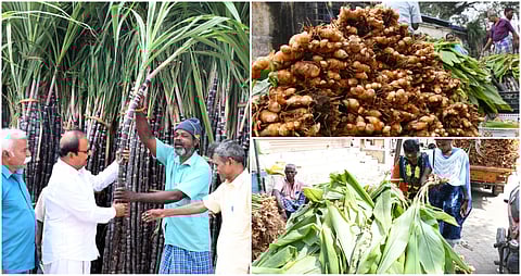 2024 January Tamil Nadu Photo story