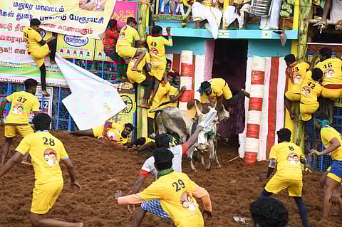 palamedu jallikattu 2024 album