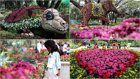 Flower show at Semmozhi Poonga
