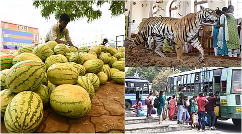Tamilnadu photo story