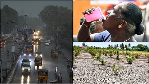 Tamilnadu photo story