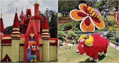 ooty rose flowers exhibition album