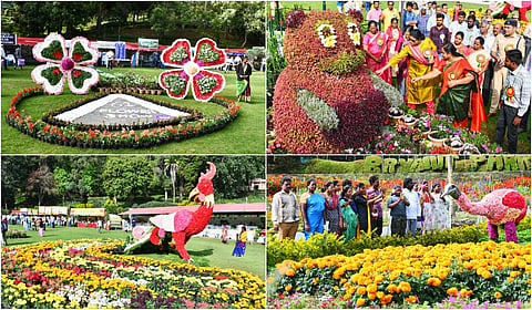 Flower Show Started At Kodakanal