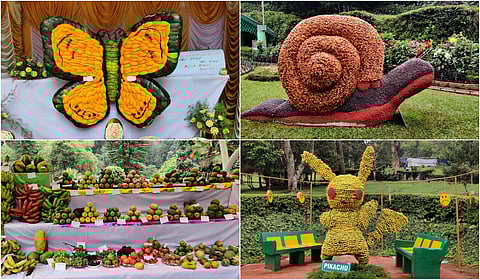 Coonoor 64th Fruits Show: Sims Park