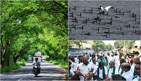 Tamilnadu photo story