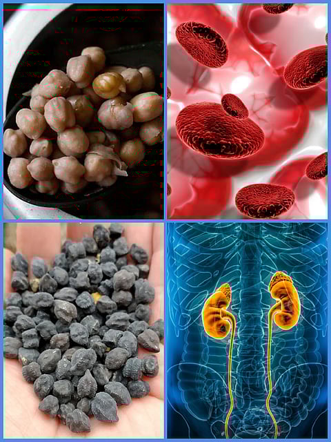 10 Benefits of Black Chickpeas