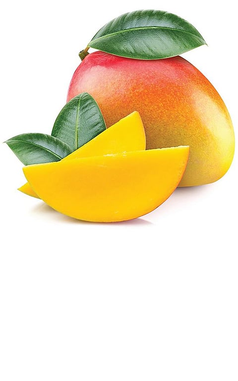 mango fruit health benefits