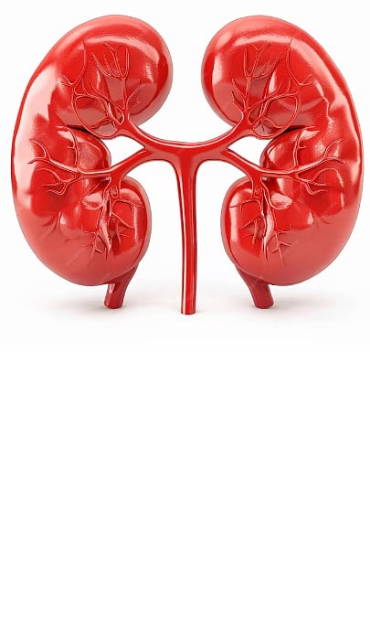 kidney stones and health tips