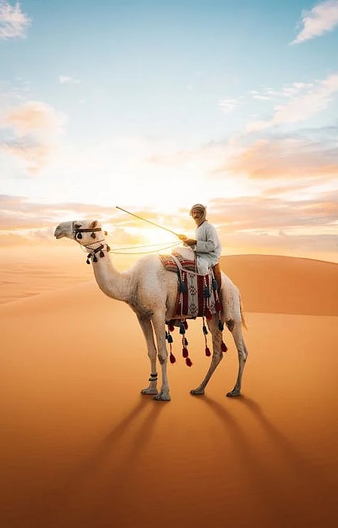 The largest hot desert in the world!