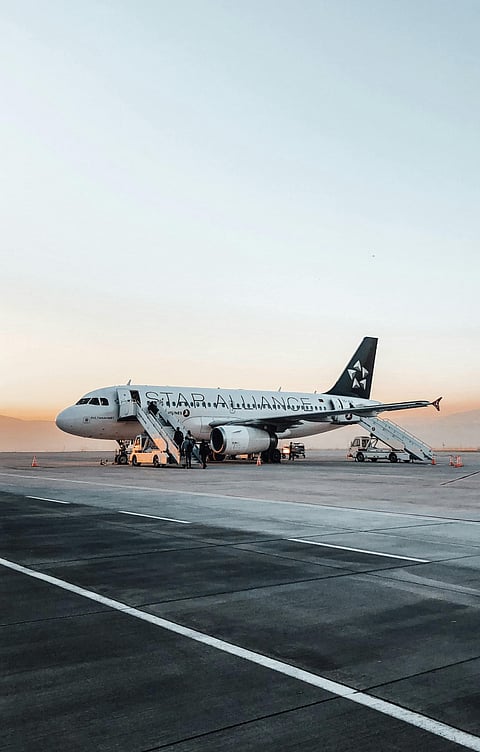 An amazing aluminum bird plane!