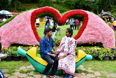 kodaikanal flower show photo gallary images