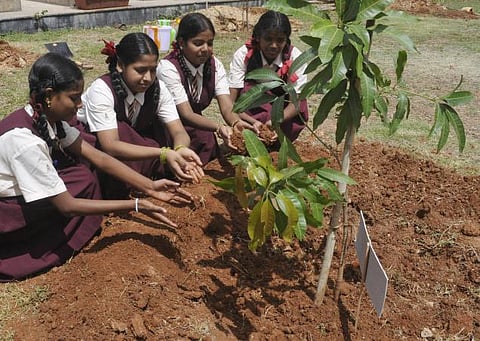 மரம் நடுதல் ஒரு வாழ்க்கை முறை!