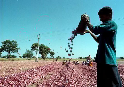 வெங்காய விலை உயரும் : வேளாண் வல்லுநர்கள் தகவல்