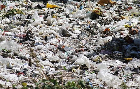 கேரி பேக்