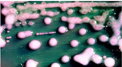 தடுப்பு மருந்துக்குக் கட்டுப்படாத நோய்கள்