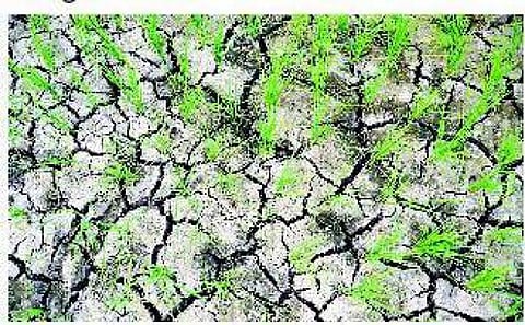 உல்டா ஆன டெல்டா.. உயிர் பெற சில யோசனைகள்!