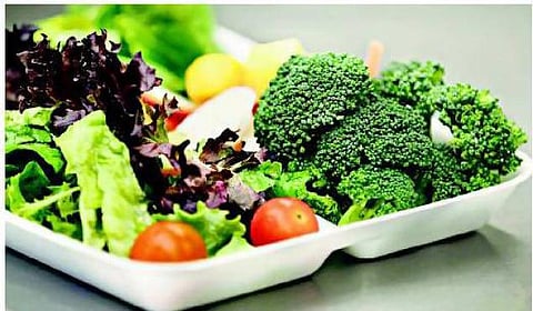 தமிழகத்திலும் பயிரிடலாம் வட இந்தியக் காய்கறிகளை!