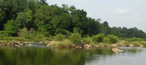 இயற்கையை இப்படியும் சூறையாடலாம்!