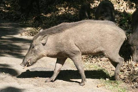 ஒன்றல்ல பல