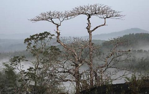 மேற்கு தொடர்ச்சி மலையில் தீவிரவாதிகள் நடமாட்டம்?