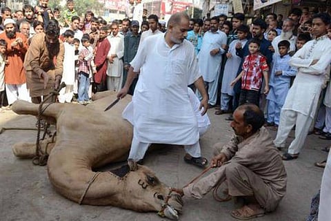 நாய்க்கறி சாப்பிடுங்கள்!