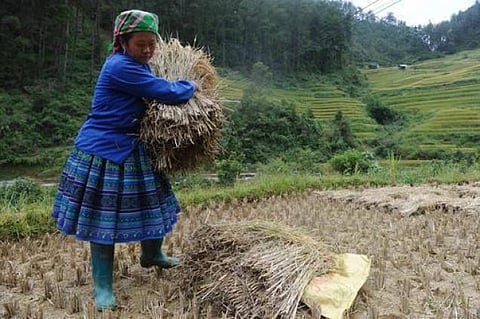 காலங்களைக் கடந்த பாசன வரலாறு