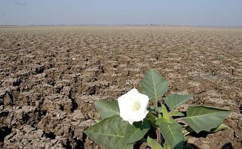 அணு சக்தியும் புவி வெப்பமயமாதலும் 1 : ஆஸ்திரேலிய அரசியல்