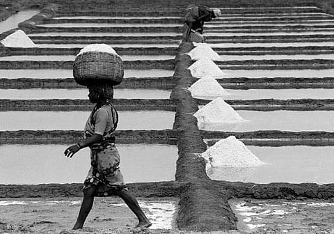 உப்பு தட்டுப்பாடு வதந்தி: பீகார், மேற்கு வங்க அரசுகள் எச்சரிக்கை