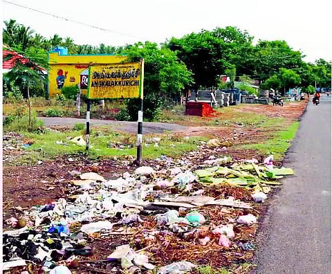 குப்பைத் தொட்டியைத் தேடி...