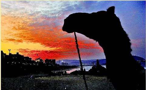 சுமைகளைப் பகிர்பவன்