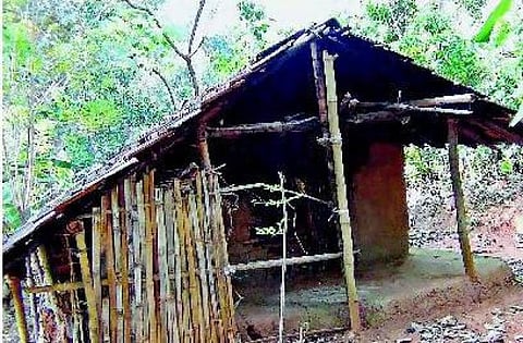 நீலகிரி : சுதந்திரத்துக்கு முன் மன்றாடி.. சுதந்திரத்துக்குப் பின் நாடோடி..