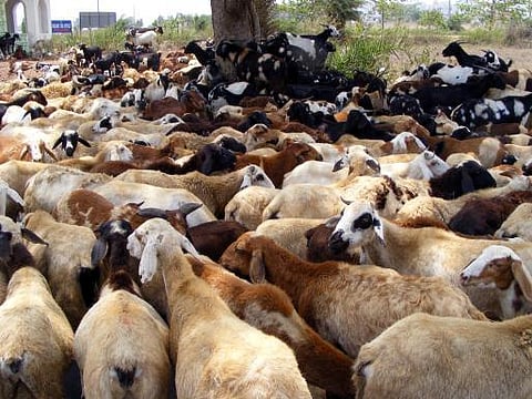 இறைவனுக்குப் பிரியமானவர்கள்