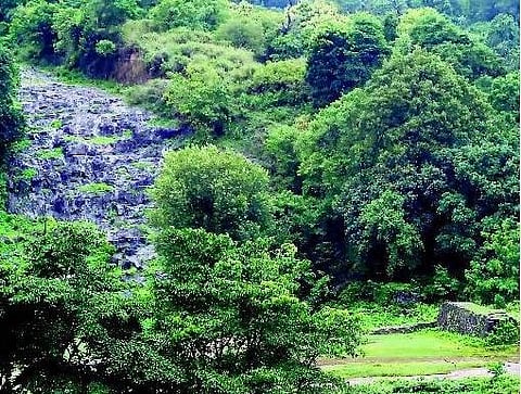 மீண்டும் உயிரூட்டப்படும் சித்தூர் சிறுவாணி அணைத் திட்டம்
