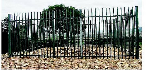 சாரா பார்ட்மனுக்கு அமைதி தந்த மண்டேலா