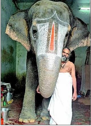 சோகத்தில் ஸ்ரீரங்கம் கோயில் யானை ஆண்டாள் - பாகன் விலகுவதை உணர்ந்ததால் ஏற்பட்ட பாதிப்பு