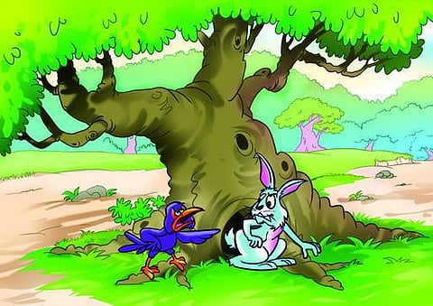 வெளித்தோற்றத்தை நம்பலாமா?