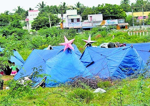 நெல்லை: நாடோடிகள் கொண்டாடும் கிறிஸ்துமஸ்