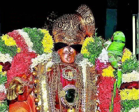 ஆண்டாளை அலங்கரிக்கும் கிளி