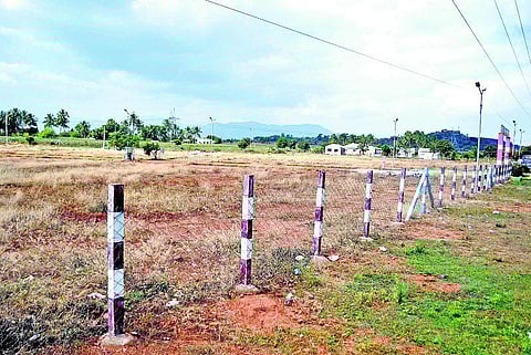 திண்டுக்கல்: வீட்டுமனைகளாகி வரும் விளை நிலங்கள்