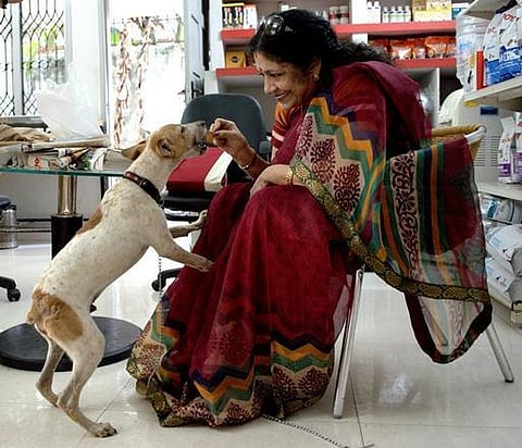 சென்னை: வால் வெட்டப்பட்ட தெரு நாயை தத்தெடுத்தார் சவுகார்ஜானகி மகள்