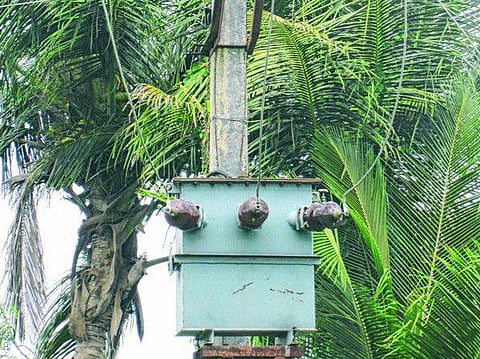 திருவண்ணாமலை: வெற்றி நடைபோடும் சிறிய ரக மின்மாற்றி<br/>விவசாய மின் இணைப்பில் புதிய புரட்சி